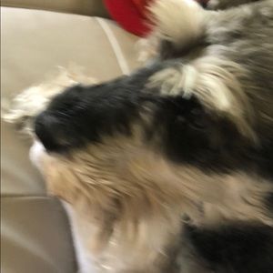 Meet your Posher, Sebastian